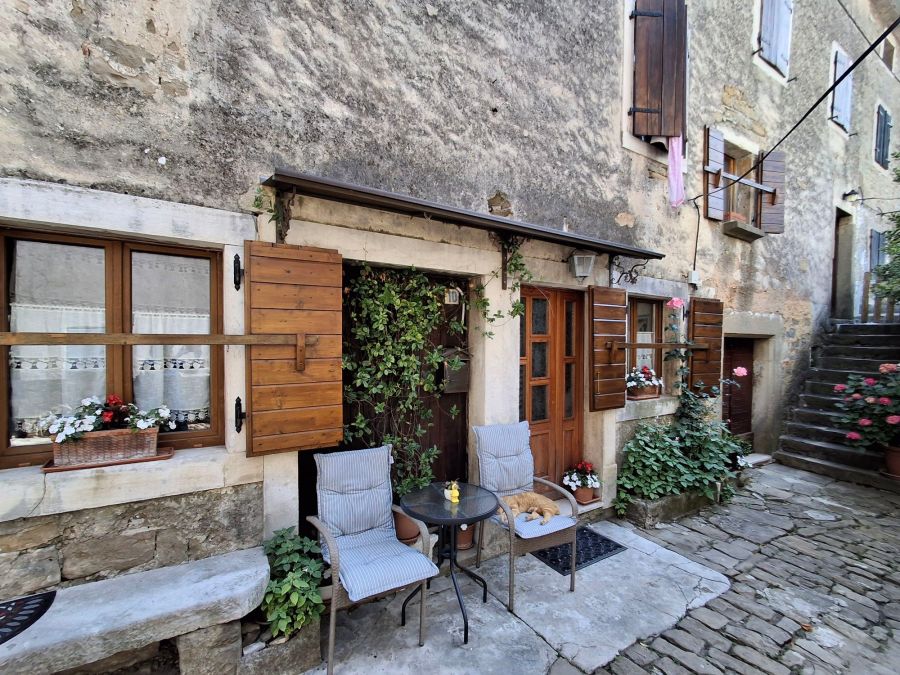 Life & blog update: June&nbsp;2025