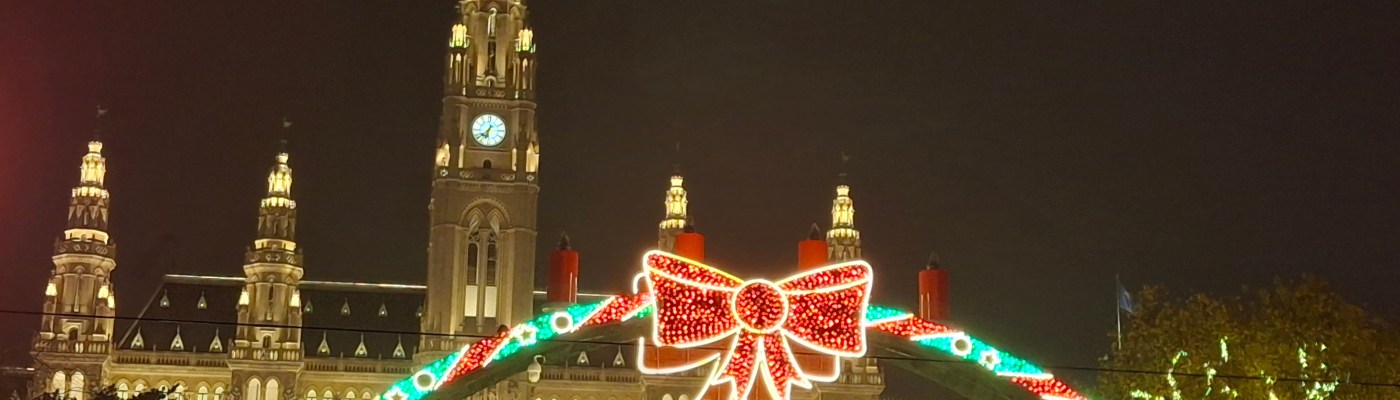 Christmas market at the City Hall, Vienna